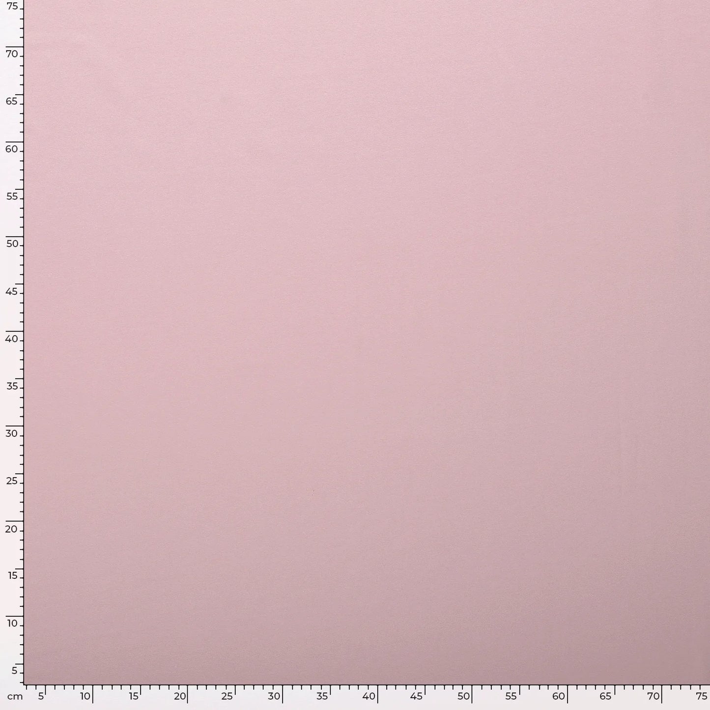 French terry Poederroze