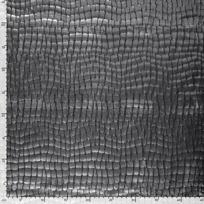 Lamé foliedruk Krokodil zilver